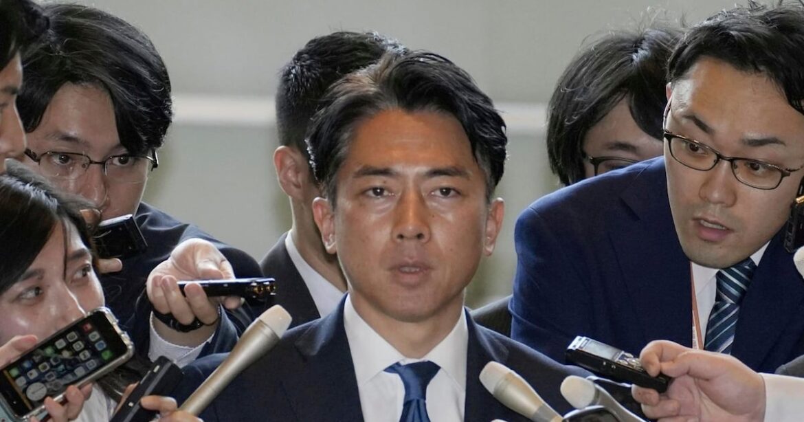 Japan media darling to run for ruling party leadership: reports - CTV News