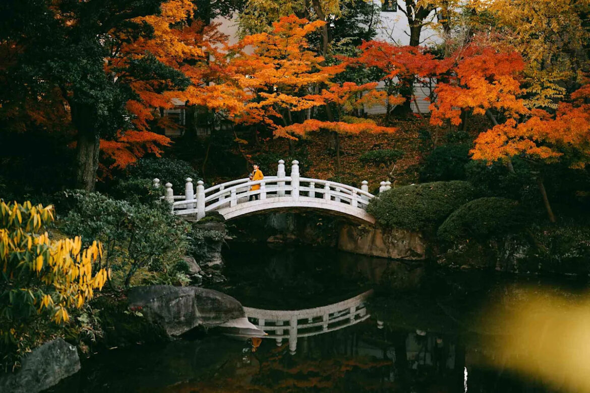 Yahoo lifestyle home