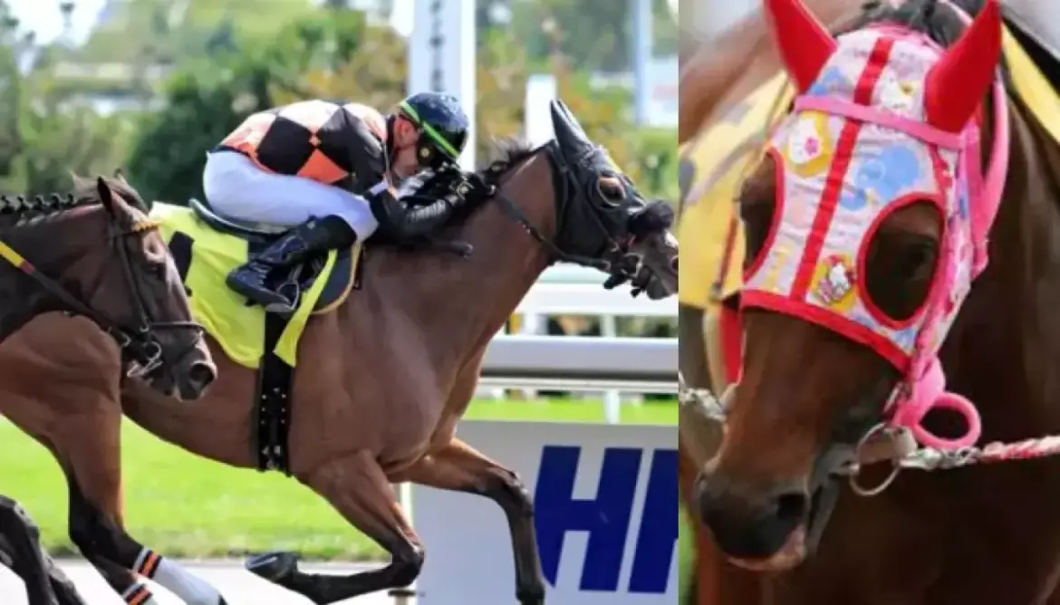 Japan’s Most Famous Racehorse Haru Urara Dies At The Age Of 29, Know The Reason Of Her Demise Japan's Most Famous Racehorse Haru Urara Dies At The Age Of 29, Know The Reason Of Her Demise