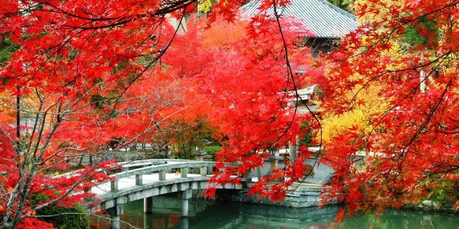 red leaves and foliage frame a stone bridge over a little stream