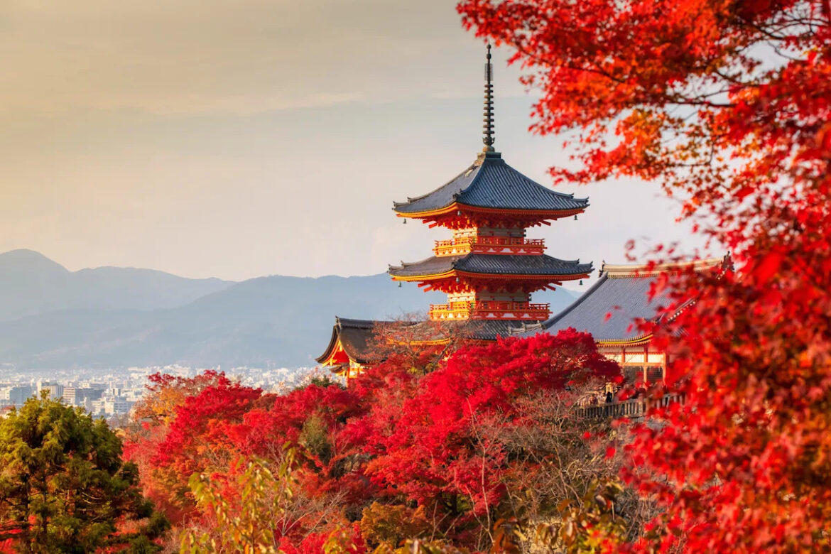 Planning a Trip to Japan? Here’s the Best Time to Go Yahoo creators home