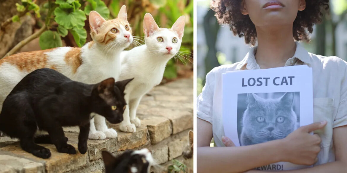 Yahoo lifestyle home