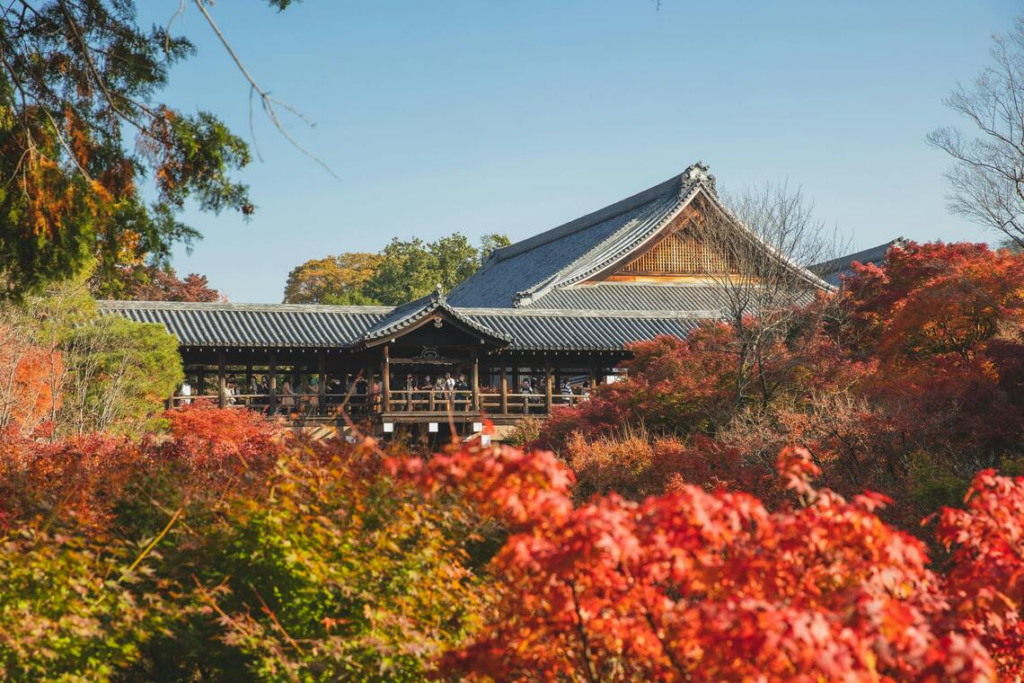 Japan could see shorter autumn season in 2025 According to a forecast, the temperature should remain relatively high in October before dropping in November due to cold air.