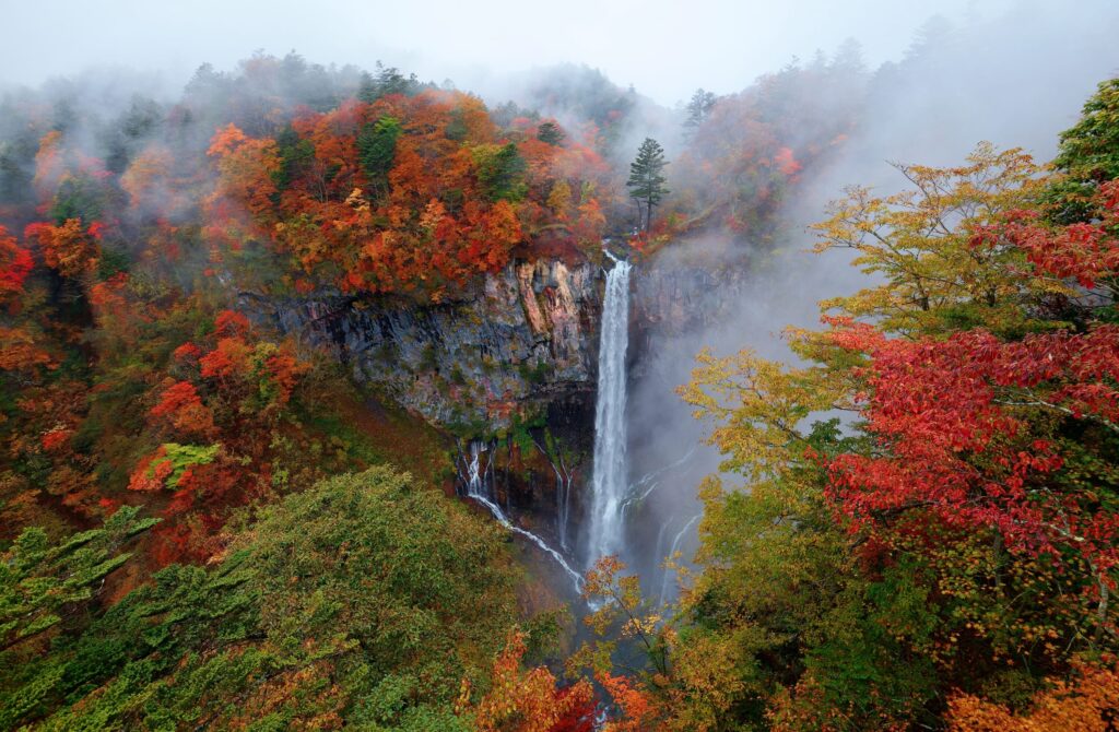 Star Fall Japan The Most Beautiful Fall Foliage Spots Across Japan - Alo Japan All ...