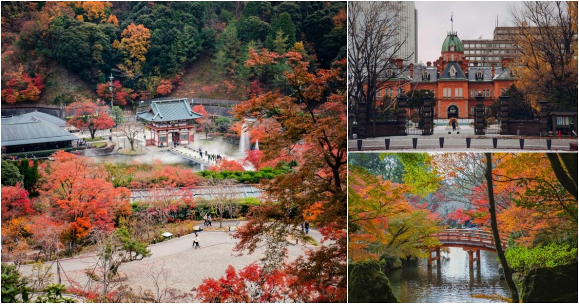 Where & When to See Them