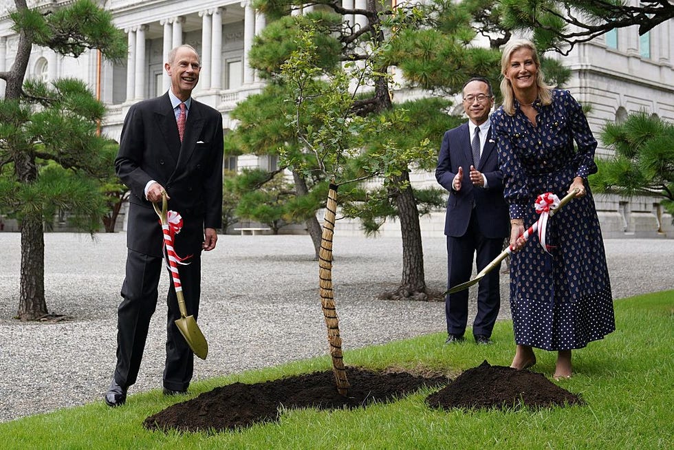 britains prince edward, duke of edinburgh (l) and his wife princess sophie, duchess of edinburgh (r), take part in a ceremonial planting of an oak sapling grown from the tree planted by late queen elizabeth ii during her state visit to japan in 1975, at the akasaka state guest house in tokyo on september 19, 2025. (photo by kazuhiro nogi / afp) (photo by kazuhiro nogi/afp via getty images)