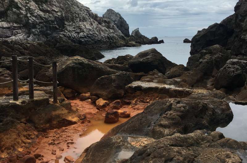 Hot springs in Japan give insight into ancient microbial life on Earth