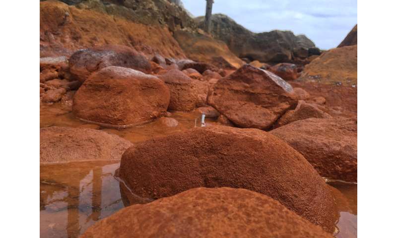 Hot springs in Japan give insight into ancient microbial life on Earth