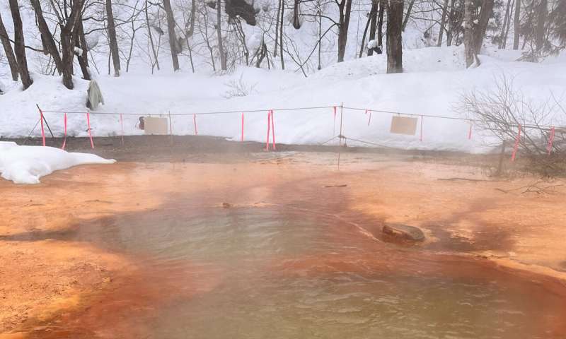 Hot springs in Japan give insight into ancient microbial life on Earth