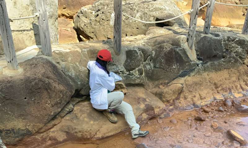 Hot springs in Japan give insight into ancient microbial life on Earth