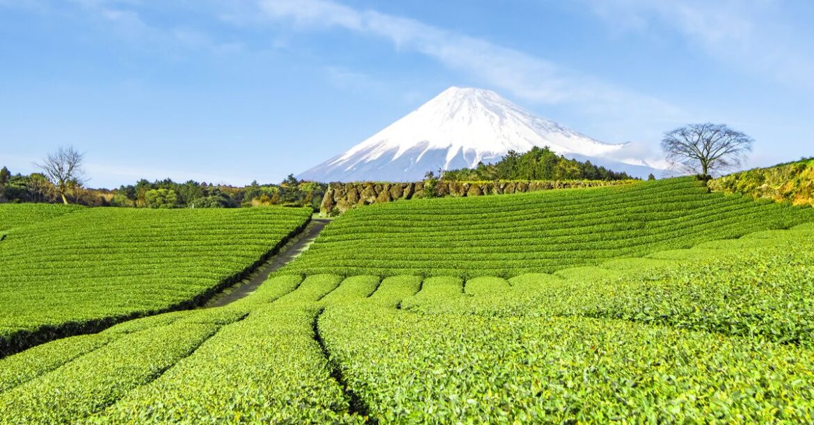 Japan travel: The underrated region an hour from Tokyo that's a hidden gem for foodies