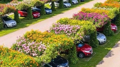 The greenery provides natural shade and keeps the parked cars cool. (Photo Source: X)
