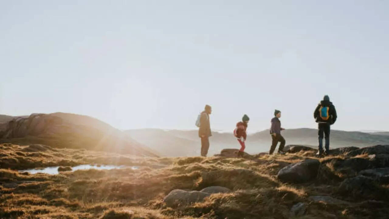 People engage in consistent and gentle physical activity