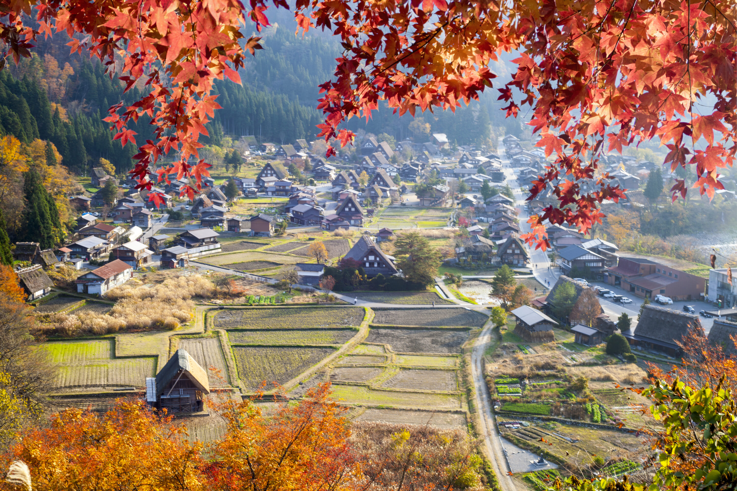 shirakawago autumn