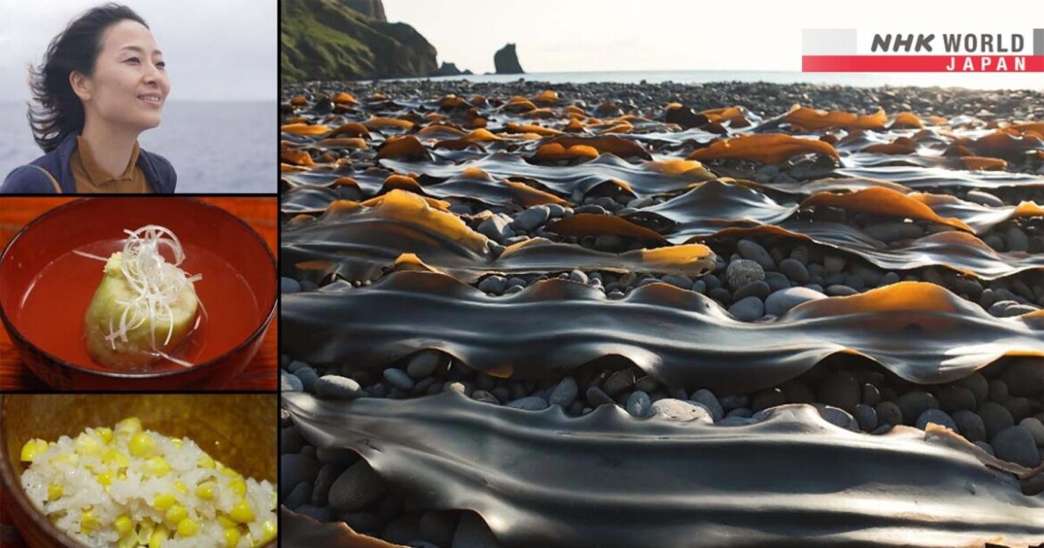 Cook Around Japan - Hokkaido: Home of Kombu - Dining with the Chef