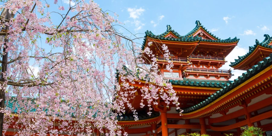 cherry blossom leaves frame the Heian Shrine building