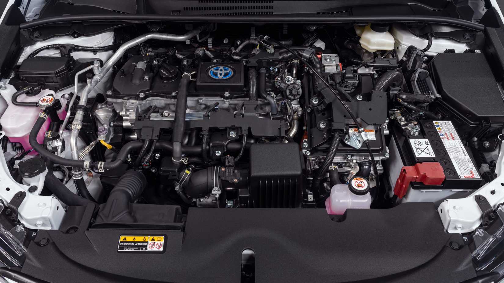 Toyota Corolla Hybrid Infrared Special (3)