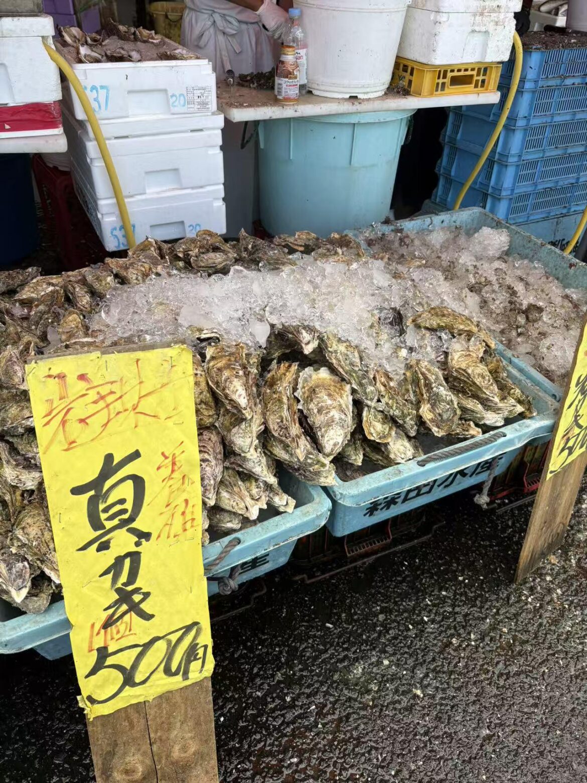 Had fresh oysters at a seafood market in Ibaraki ,Just about $3.3 each (¥500).