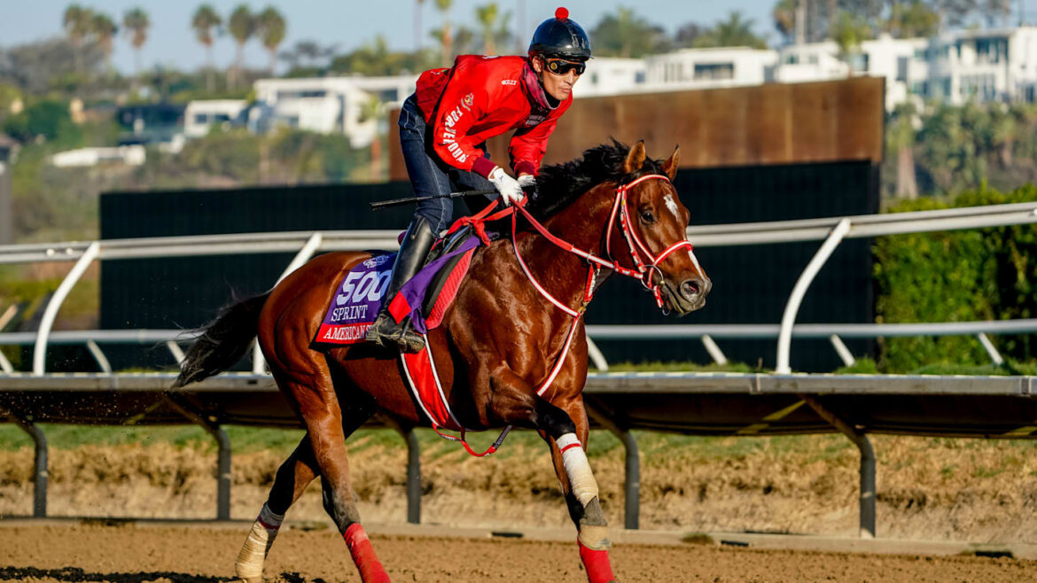 Watch out for longshot Japanese runner American Stage in Breeders’ Cup Sprint Watch out for longshot Japanese runner American Stage in Breeders' Cup Sprint