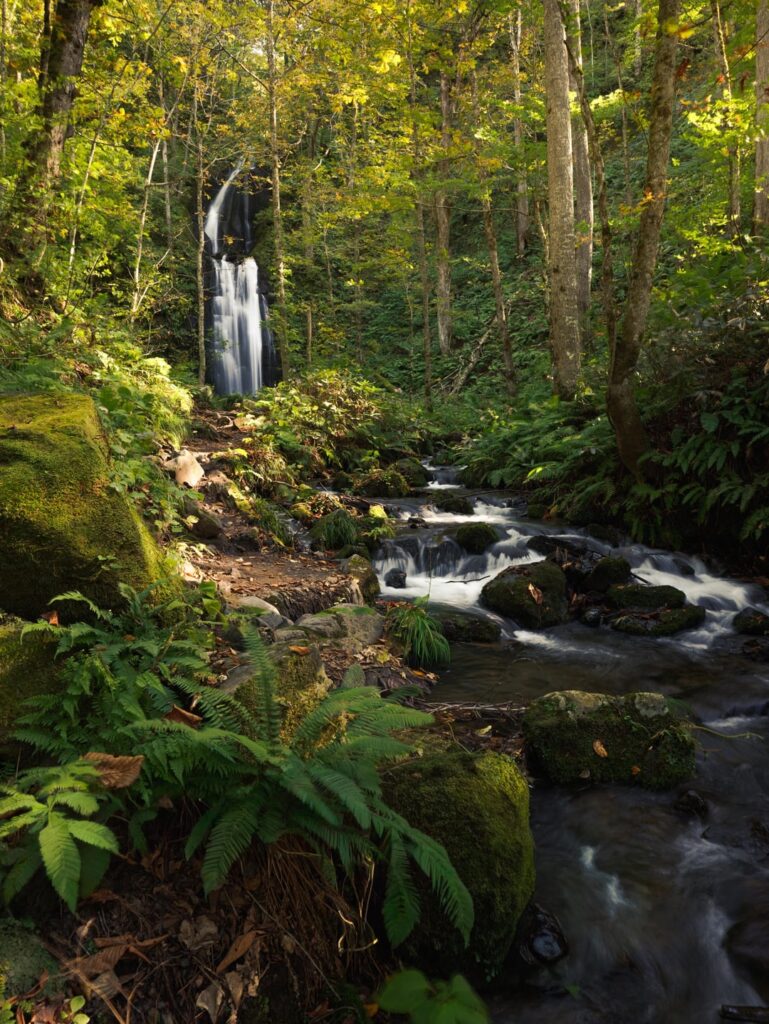 Found these waterfalls along the Oirase Stream