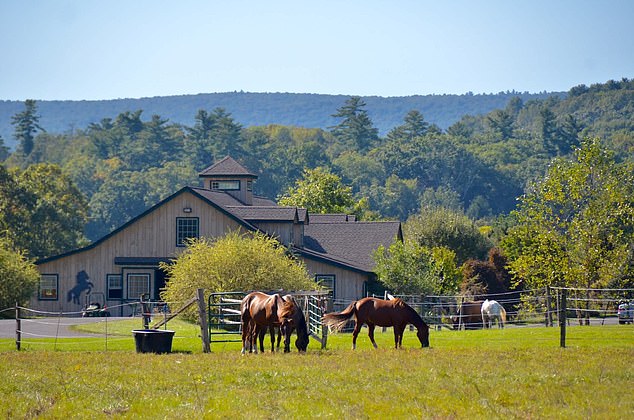 Mentions of farm-related experiences in Vrbo guest reviews have also surged 300 per cent year-over-year, signalling how travellers are searching for starlit skies over busy city lights in 2026