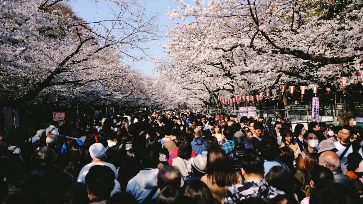 Planning a trip to Japan? Expect higher visa fees and tourist taxes in 2026 Planning a trip to Japan? Expect higher visa fees and tourist taxes in 2026