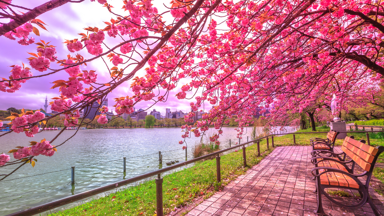Ueno Park
