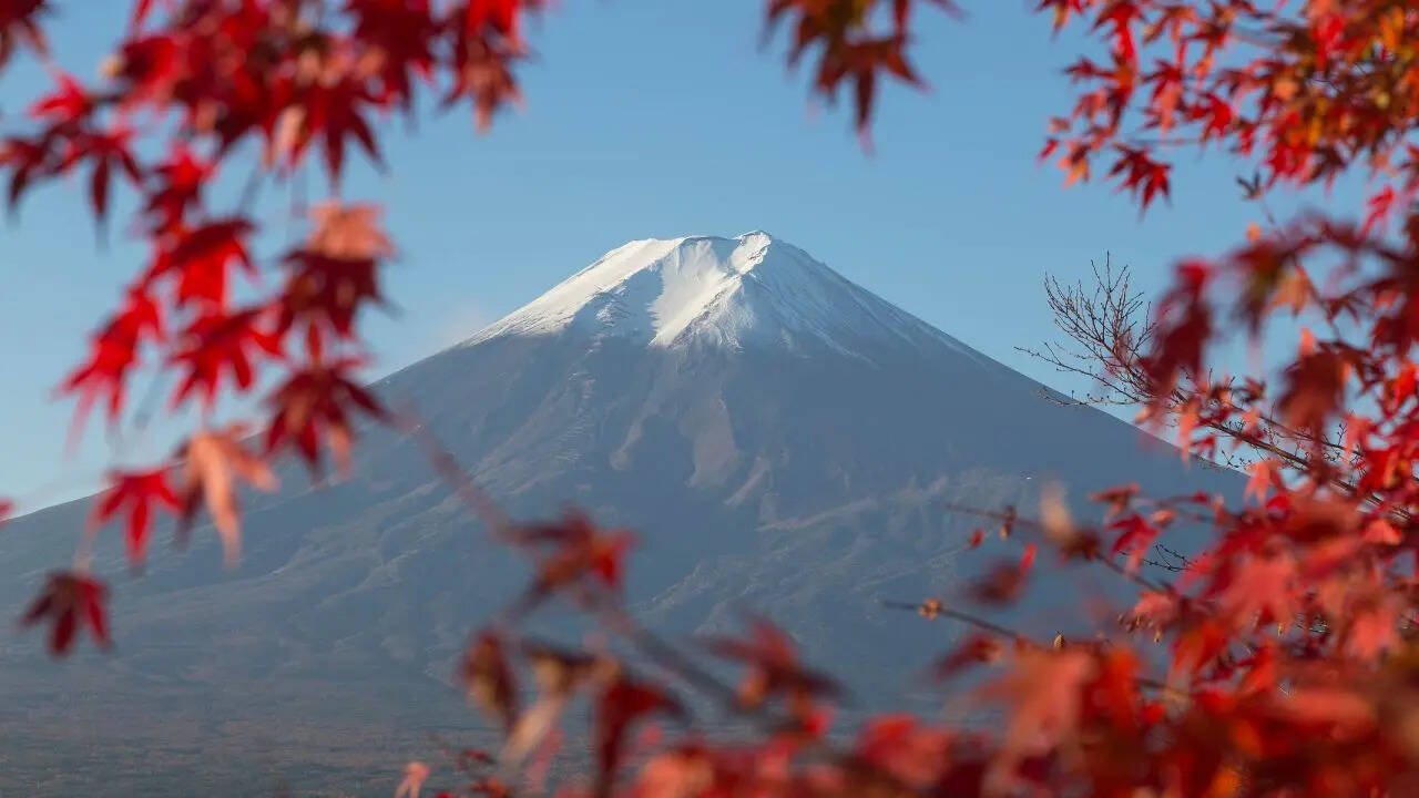 Indians need a visa to visit Japan but since 2024 the country has been offering e-visa facilities to travellers from India Indians need a visa to visit Japan but since 2024 the country has been offering e-visa facilities to travellers from India