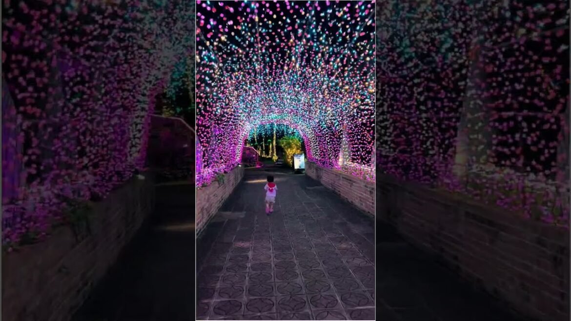 Okinawa Tropical Illumination Tour w/ Iris & Ivy #okinawa #illumination #พาลูกเที่ยว #โอกินาว่า