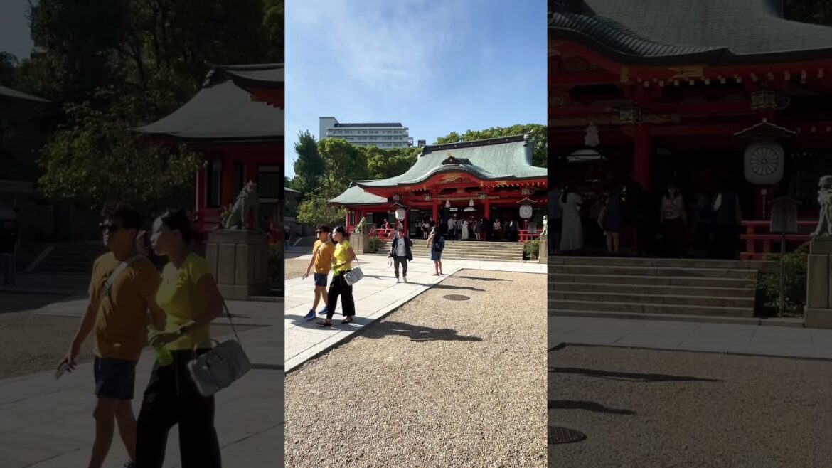 【Kobe】Must-See Tourist Attraction- Ikuta Shrine 【Kobe】Must-See Tourist Attraction- Ikuta Shrine