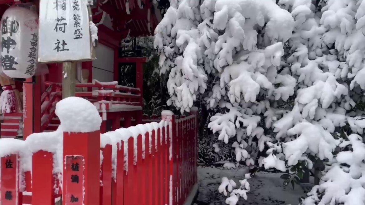 Live streaming di Diario di un papà in Giappone