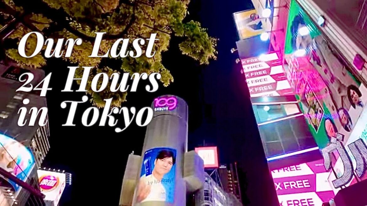 Open Top Bus Tokyo Tour | Godiva Cafe | Azalea Festival | Affordable Watches| Food trip Open Top Bus Tokyo Tour | Godiva Cafe | Azalea Festival | Affordable Watches| Food trip