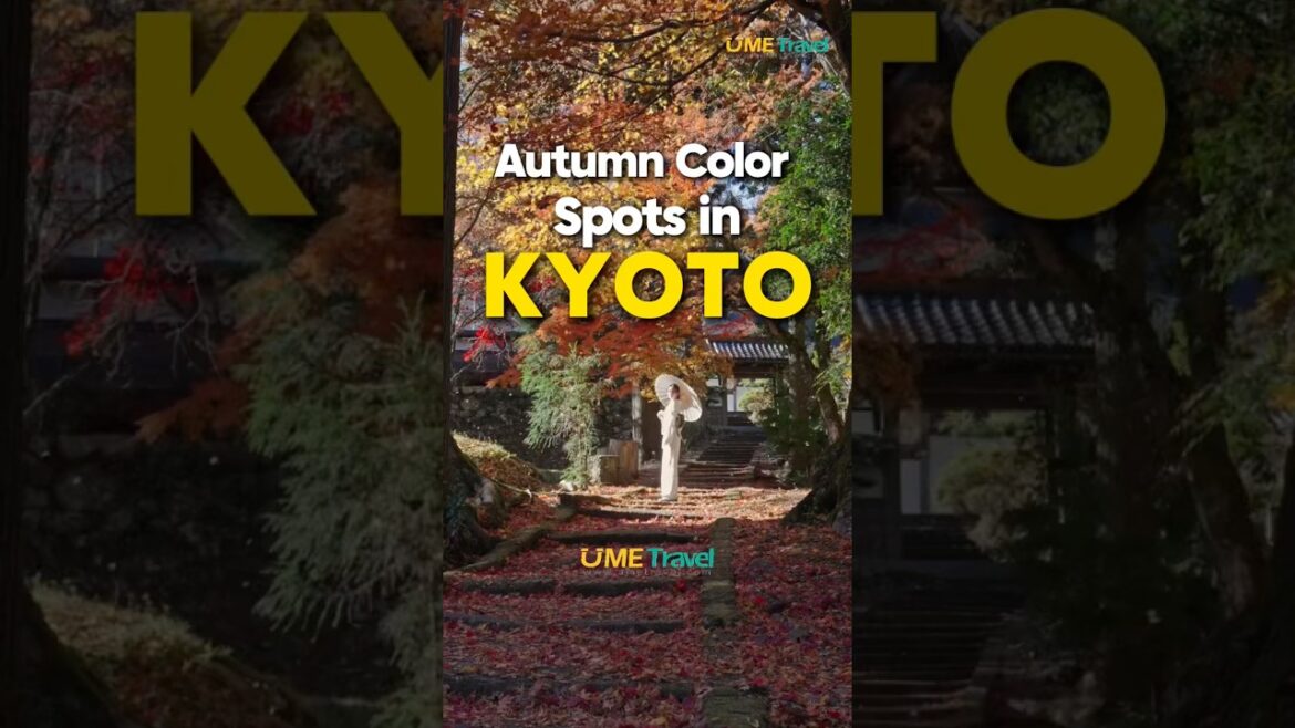 Top 5 Beat Autumn🍁spots in Kyoto,Japan #umetravel #japantravel #japantour #japan #kyoto #autumn