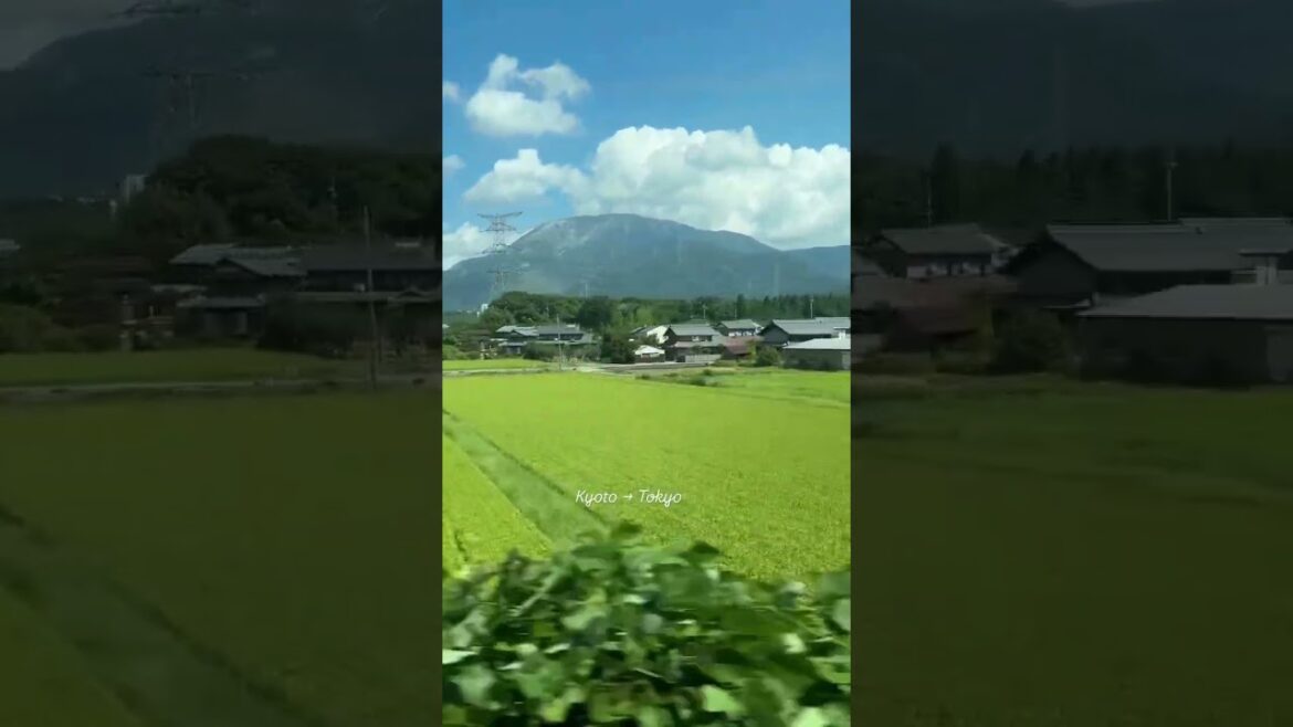 Kyoto ➡️ Tokyo 🏯🪭🧧