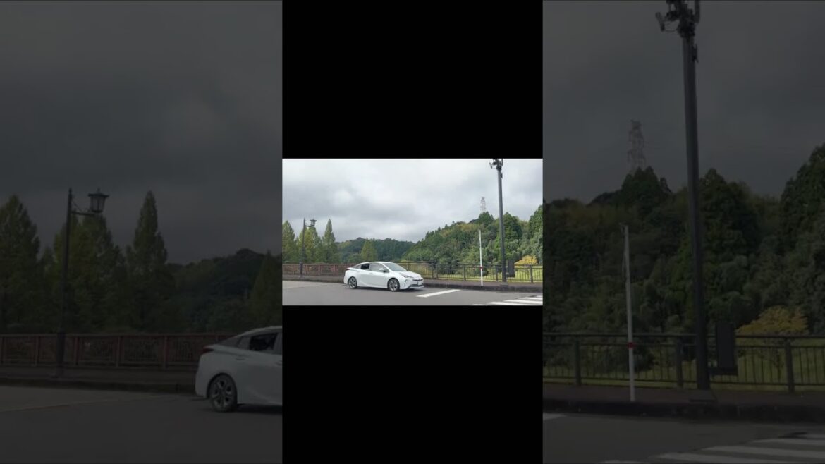 Pulling into a "Michi-no-Eki" roadside station. A drive in Kumamoto, Kyushu, Japan 🚐 #shorts