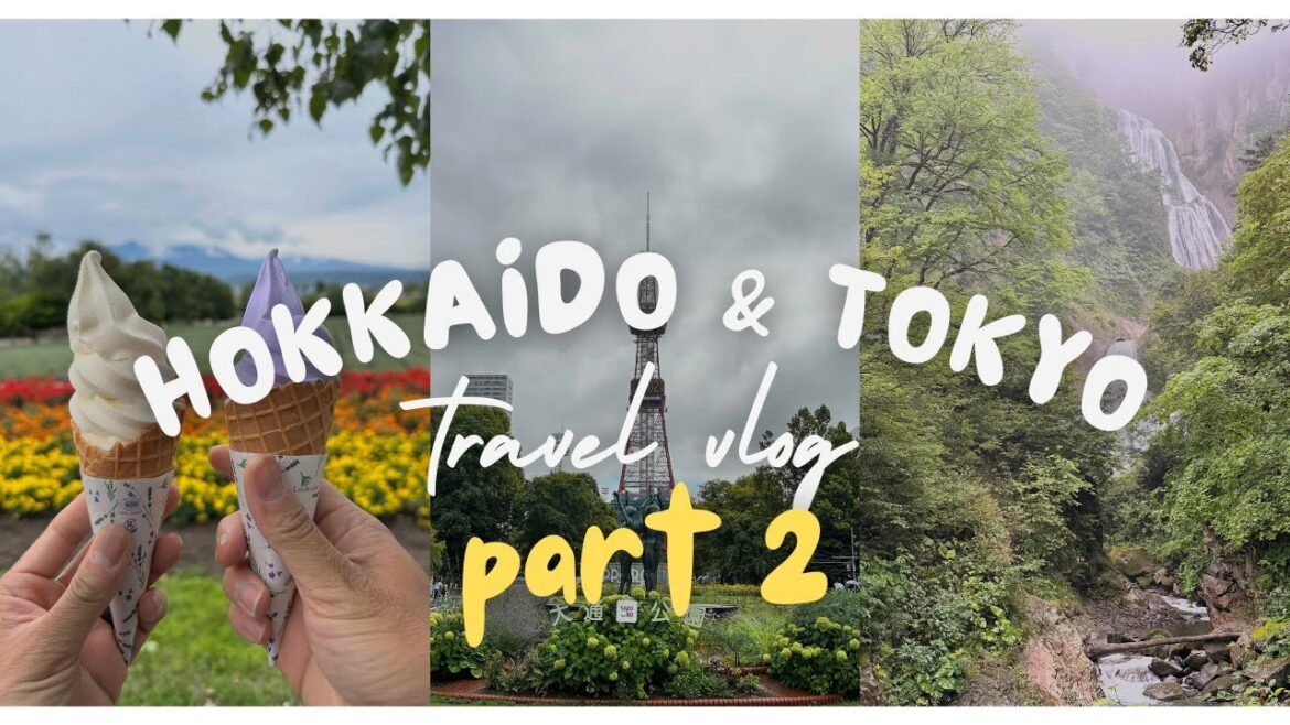 Japan Travel Diaries Pt.2 | Exploring Tokyo & Hokkaido (Asahikawa, Furano, Biei, Daisetsuzan) Japan Travel Diaries Pt.2 | Exploring Tokyo & Hokkaido (Asahikawa, Furano, Biei, Daisetsuzan)