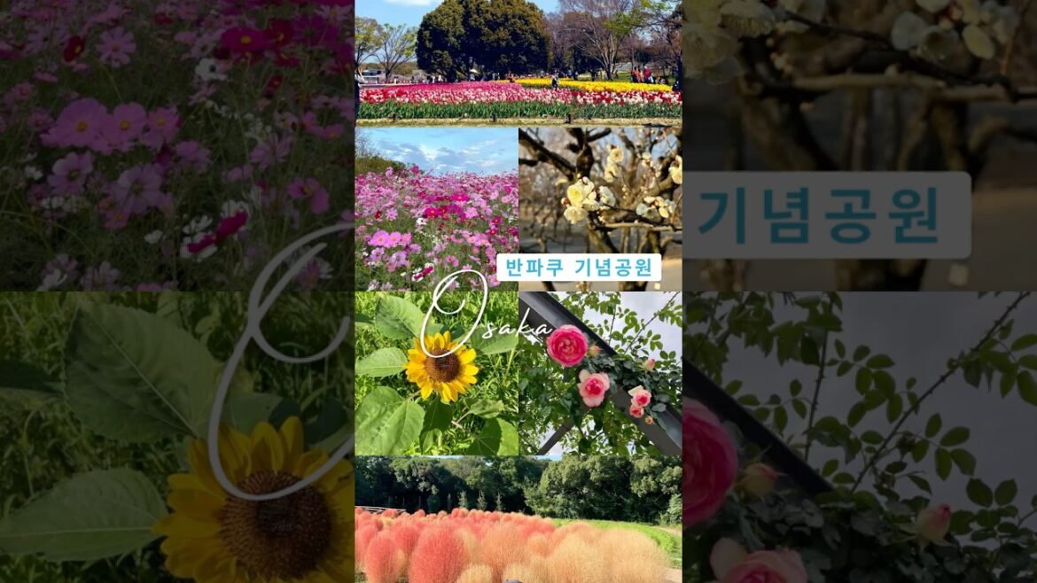 [아이랑 오사카 여행] 반파쿠 기념공원🌷