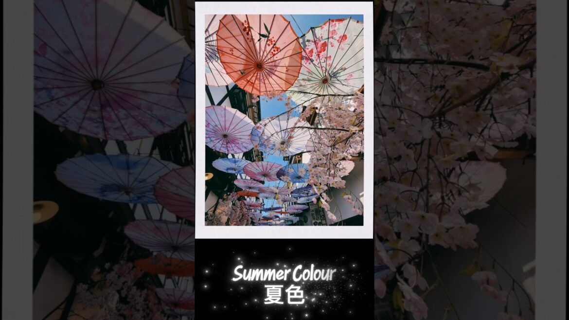 Summer Colour @Hokkaido 夏色 @北海道 #hokkaido #sapporo #furano #otaru #travel #family #旅行 #北海道 #札幌 #小樽