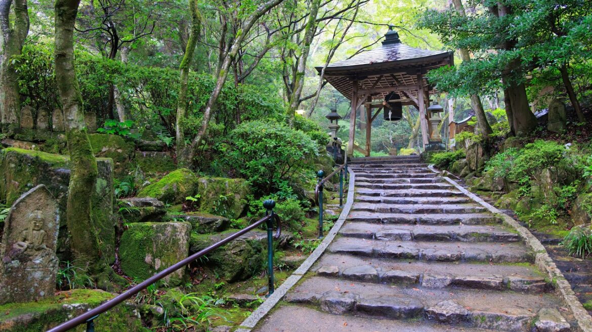 Forest Walk in Rain through Mitaki Mountain Temple | Hiroshima, Japan