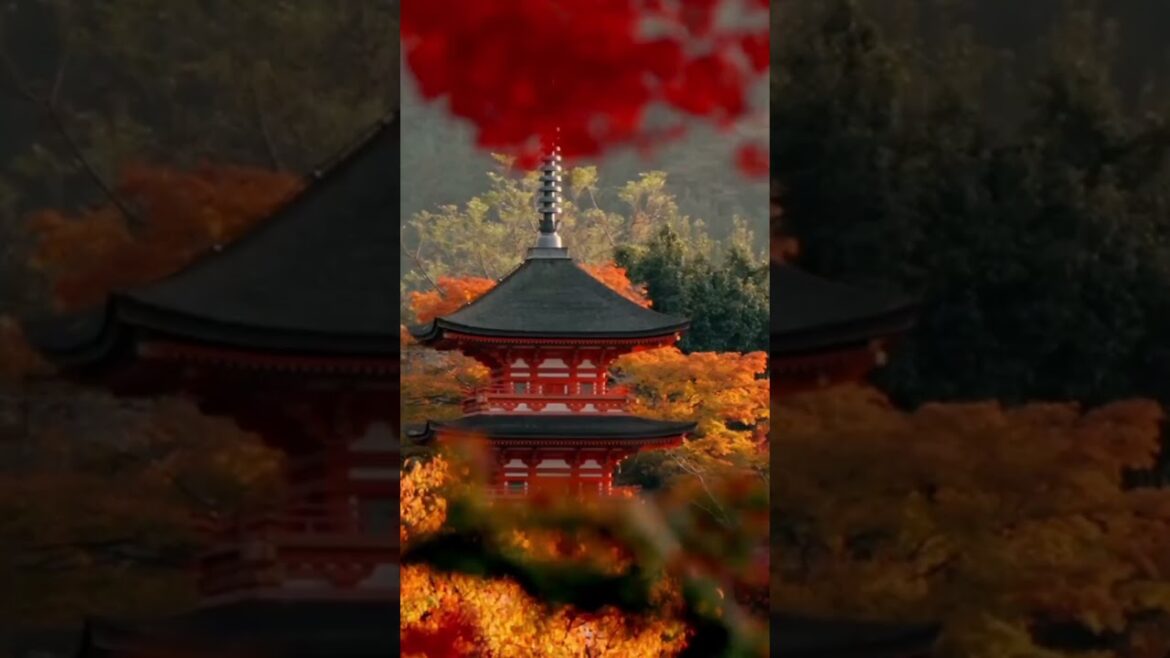 Tranquility of Kyoto, Japan #shorts #travel #nature #japan