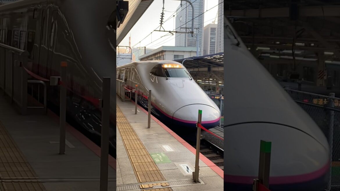 Bullet Train leaving Tokyo Station #train #tokyo #japan #shorts