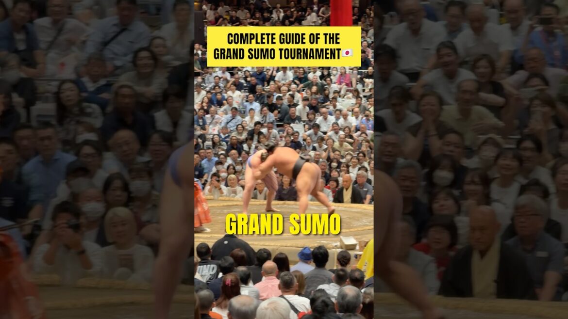Complete guide of the grand sumo tournament🇯🇵 #visitjapan #japantravel #japantrip Complete guide of the grand sumo tournament🇯🇵 #visitjapan #japantravel #japantrip