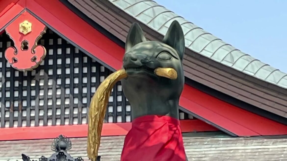 Fushimi Inari Shrine Kyoto | Mt. Inari Hike Through Thousands of Torii Gates Fushimi Inari Shrine Kyoto | Mt. Inari Hike Through Thousands of Torii Gates