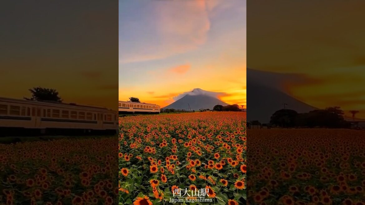 Mount Fuji🇯🇵#asmr #train #asiantravel #japantravel #youtube #youtubeshorts #japan #travel #shorts