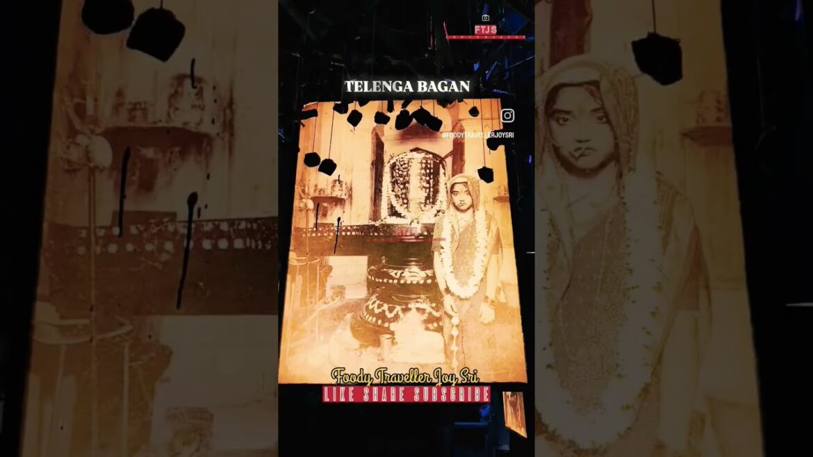 Durga pujo TELENGA BAGAN #foodytravellerjoysri Durga pujo TELENGA BAGAN #foodytravellerjoysri