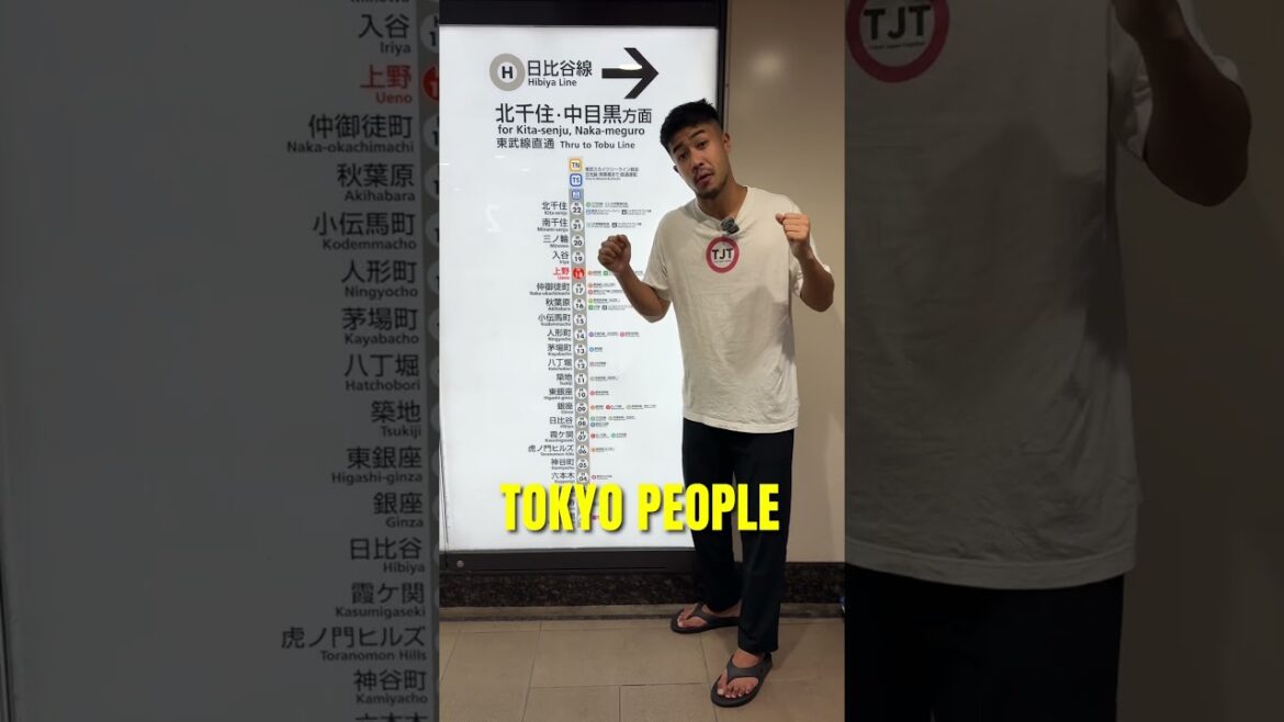 Introduction to the Tokyo Metro Hibiya Line๐ผ๐ #visitjapan #japantravel #japantrip Introduction to the Tokyo Metro Hibiya Line๐ผ๐ #visitjapan #japantravel #japantrip