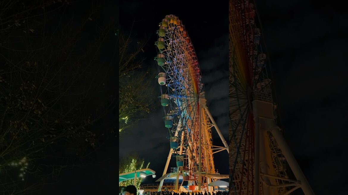 Hirakata Park  #japan #beautifulplace #amusementpark #travel #travelvlog #youtubeshorts