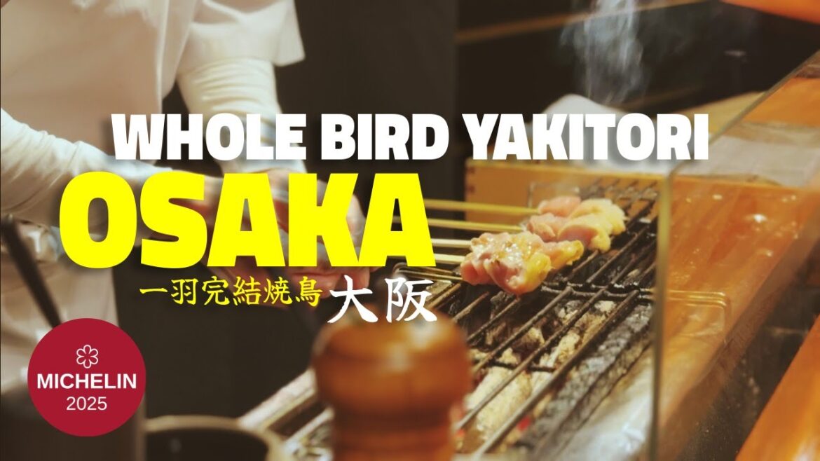 Must-Try Yakitori Omakase in Osaka 🇯🇵 'Whole Bird Dining' with Rare Heritage Chicken [2025]