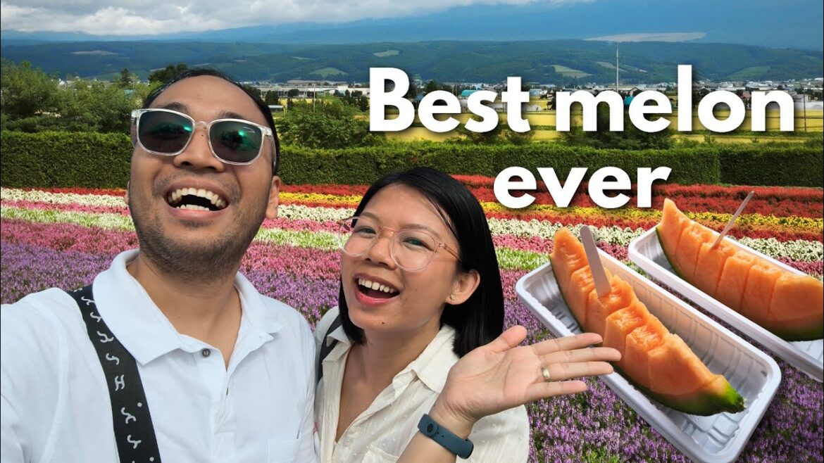 Best melon ever + flower paradise 🇯🇵 Farm Tomita Furano Hokkaido Japan Vlog Best melon ever + flower paradise 🇯🇵 Farm Tomita Furano Hokkaido Japan Vlog