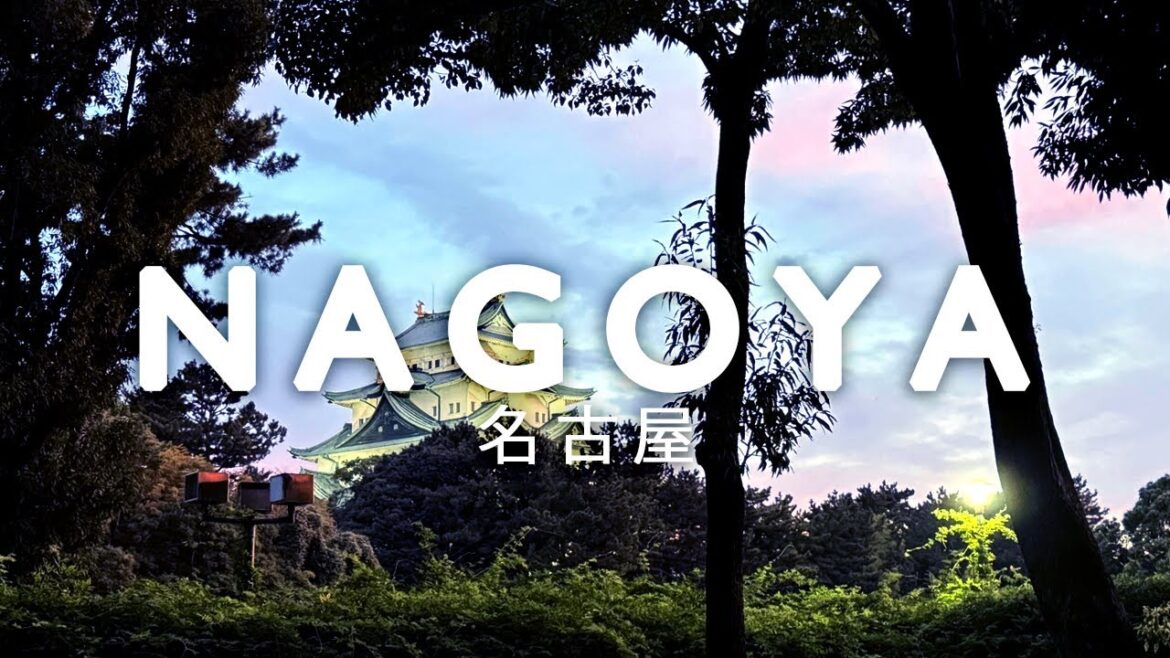 One Month in Japan | Nagoya | Vlog Part 2